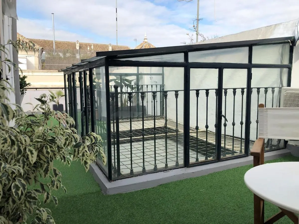 Atico La Juderia 2B V33 Apartment Seville